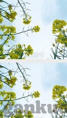 91麻豆视频直播-拒绝色情推广的理性探讨，安全健康的网络内容消费