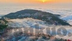 韩国伦理手机在线-韩国伦理手机在线，数字时代下的文化与道德边界