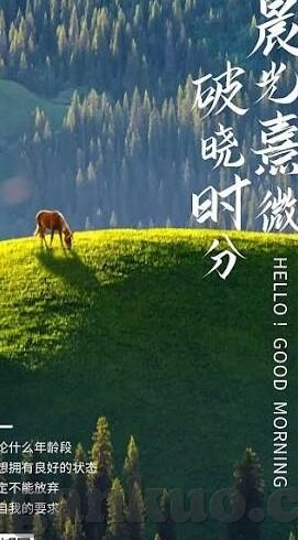 日韩精品av在线视频-日韩精品AV在线视频，文化、艺术与创意的交汇