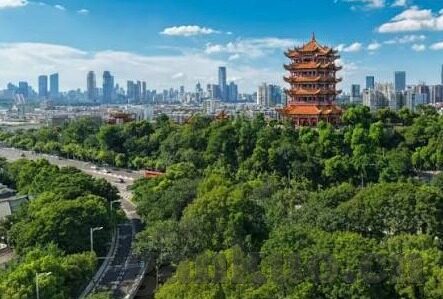 四虎永久在线精品免费一区二区-网络世界的隐秘角落，四虎永久在线精品免费一区二区探秘